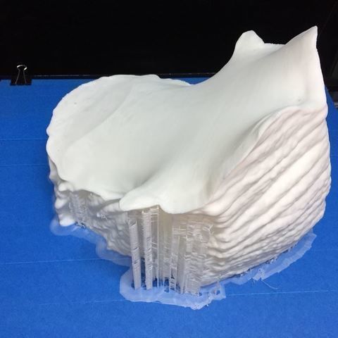 T-rex Tyrannosaurus 3D print model_14