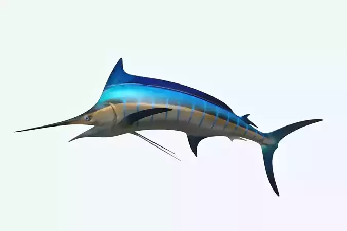 Marlin