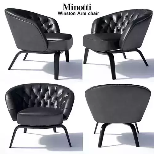 Winston Arm chair