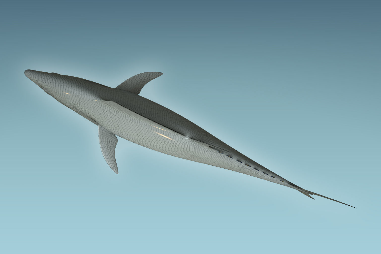 Yellowfin Tuna 3D model_6