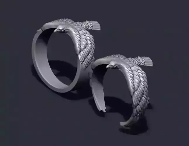 Eagle ring pack