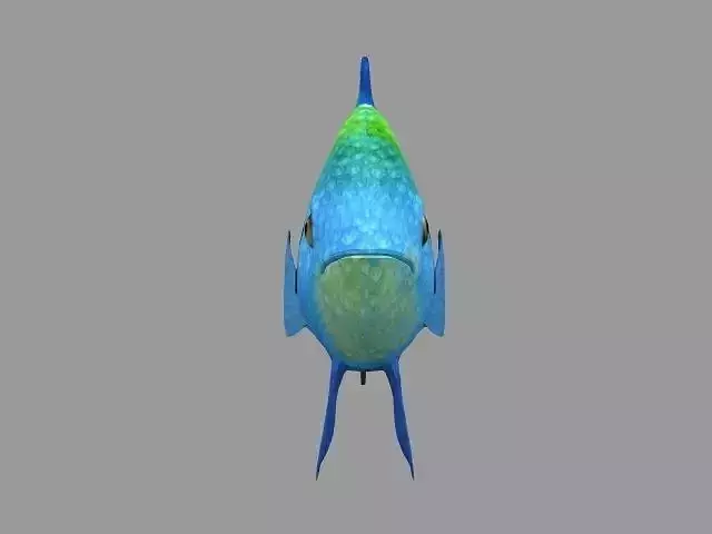 Modal Fish03 Low-poly 3D model