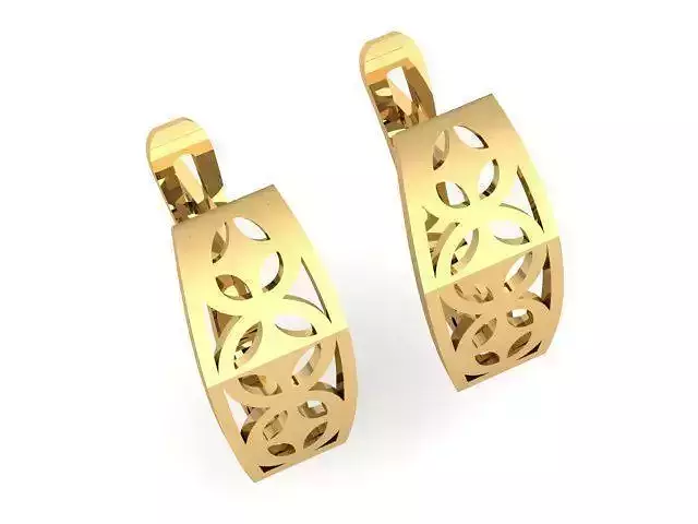 Earrings T01304