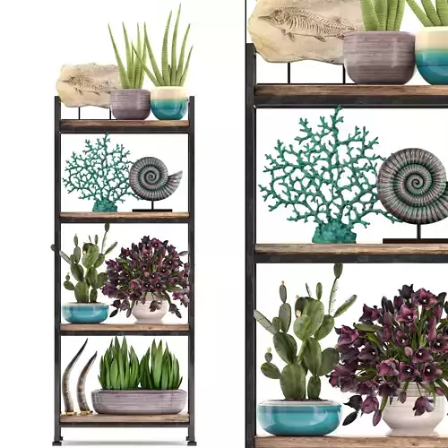Rack with the decor of figurines and plants 3D model