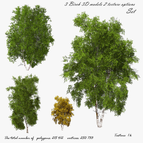 Birch Tree 01 Low-poly 3D model