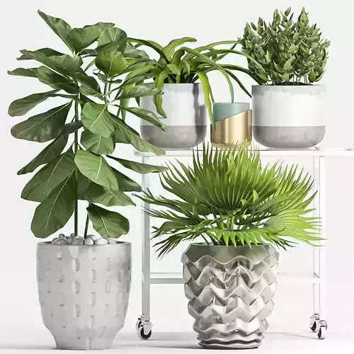 Decorative plant set-53