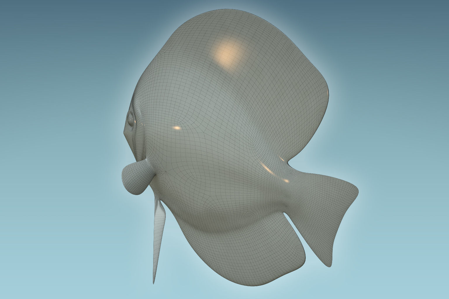 Discus Fish 3D model_7