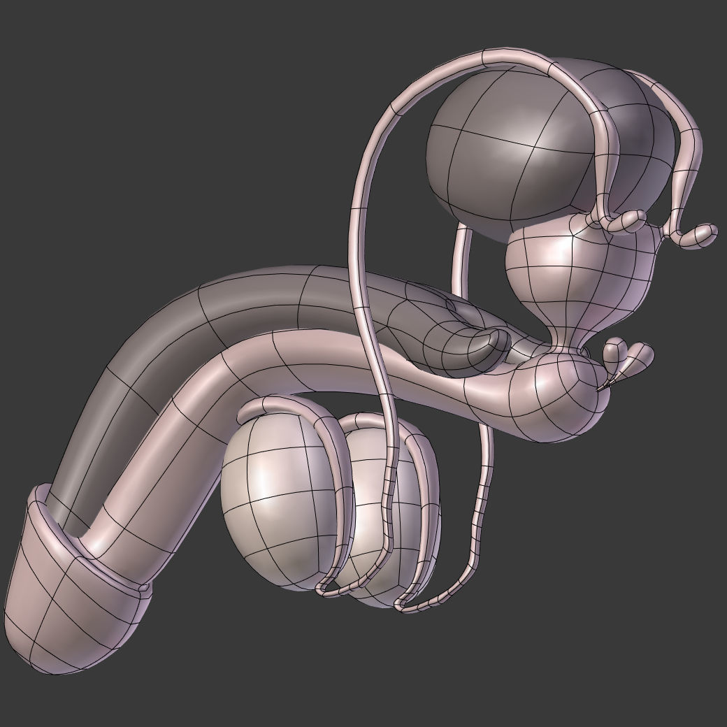Reproductive System Male and Female Low-poly 3D model_15