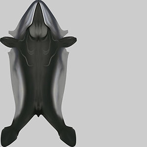 Whale 3D model_9