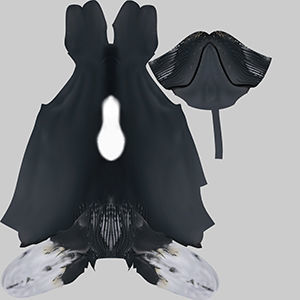 Whale Humback 3D model_9