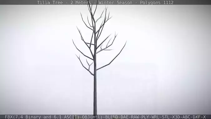 Tilia Tree - 2 Meters - Winter Season Low-poly 3D model
