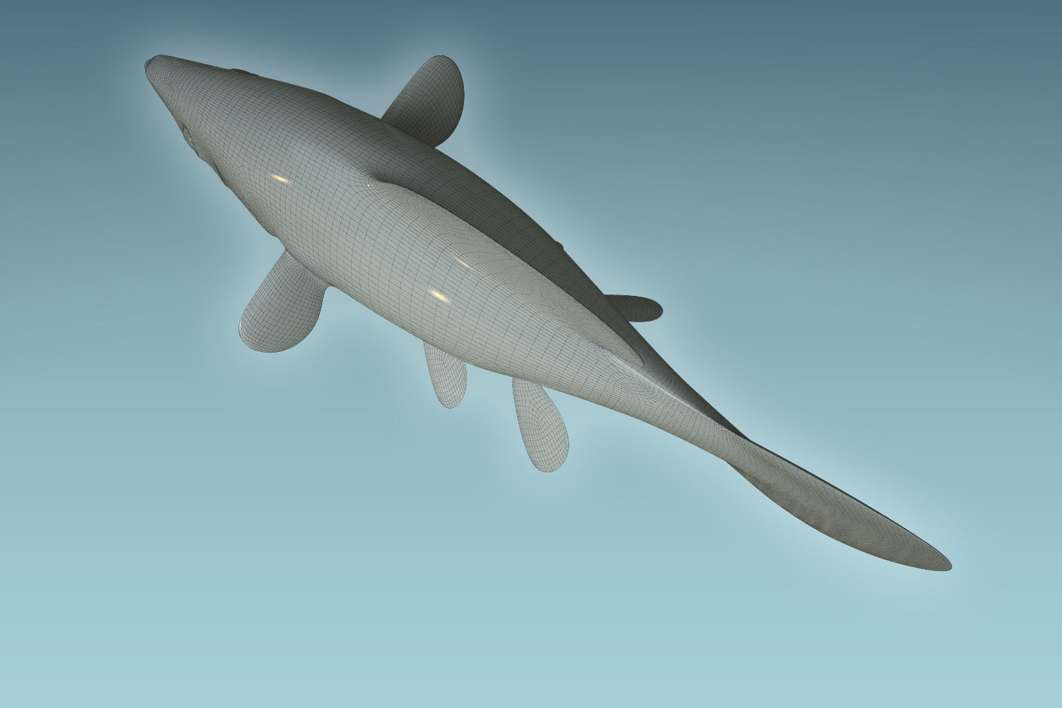 Molly fish 3D model_7