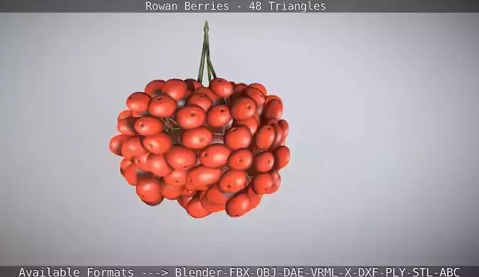 Rowan Berries Low-Poly Low-poly 3D model