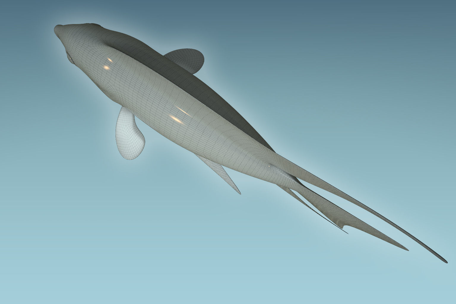 Chicild Fish 3D model_7