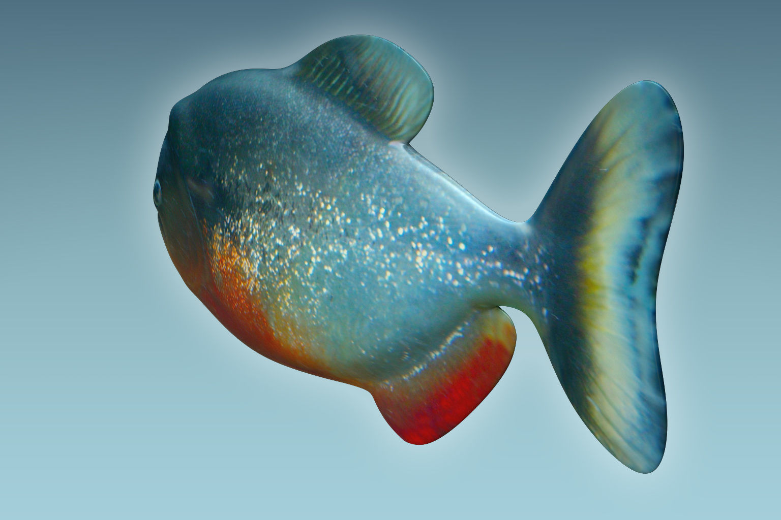 Piranha Fish 3D model_3