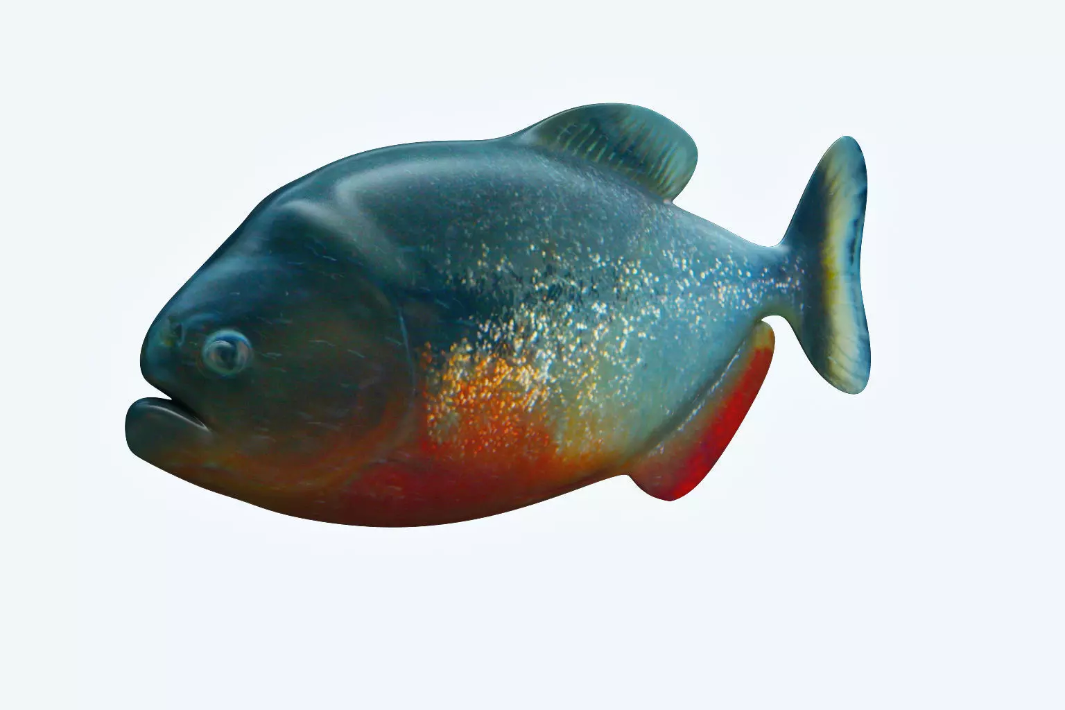 Piranha Fish 3D model_0