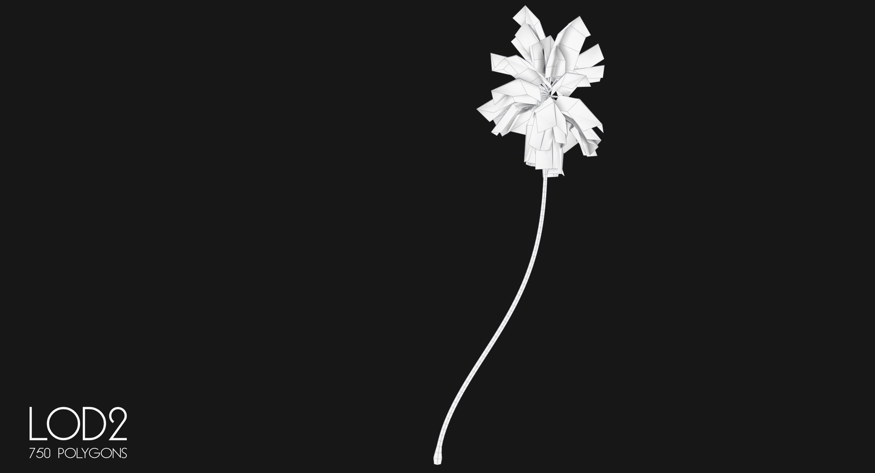 Cocos Nucifera 6354 - 01 Low-poly 3D model_13