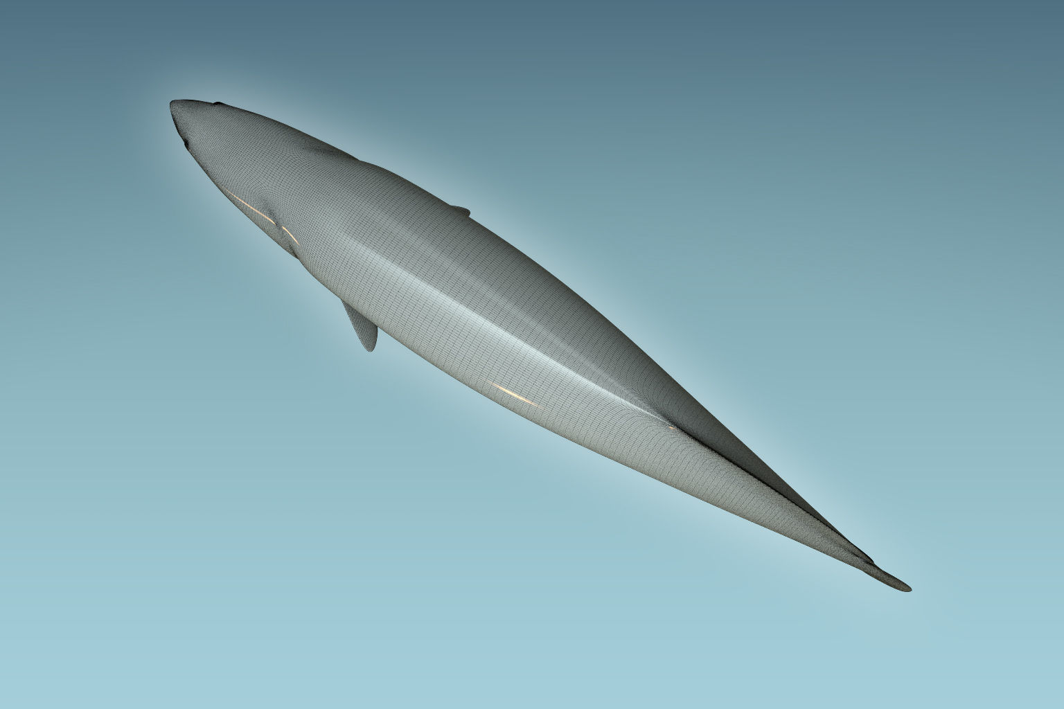Arapaima Fish 3D model_8