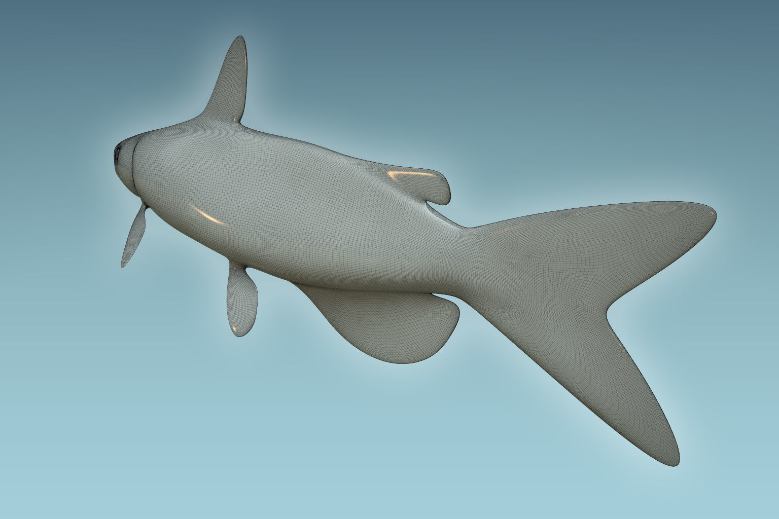 Cat Fish 3D model_7