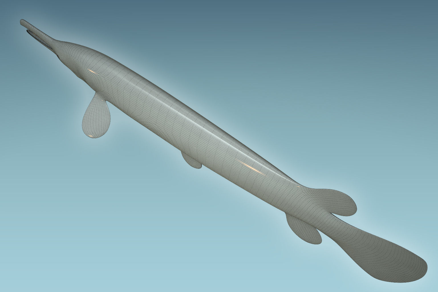 Aligator Gar Fish 3D model_8