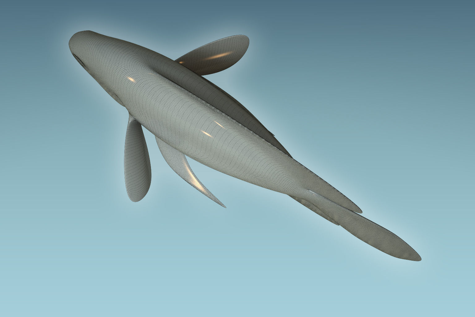 Black Tiger Fish 3D model_8