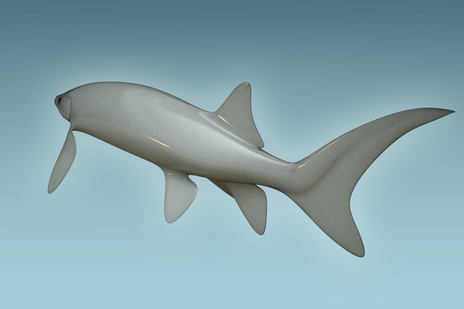 Sturgeon Fish 3D model_7