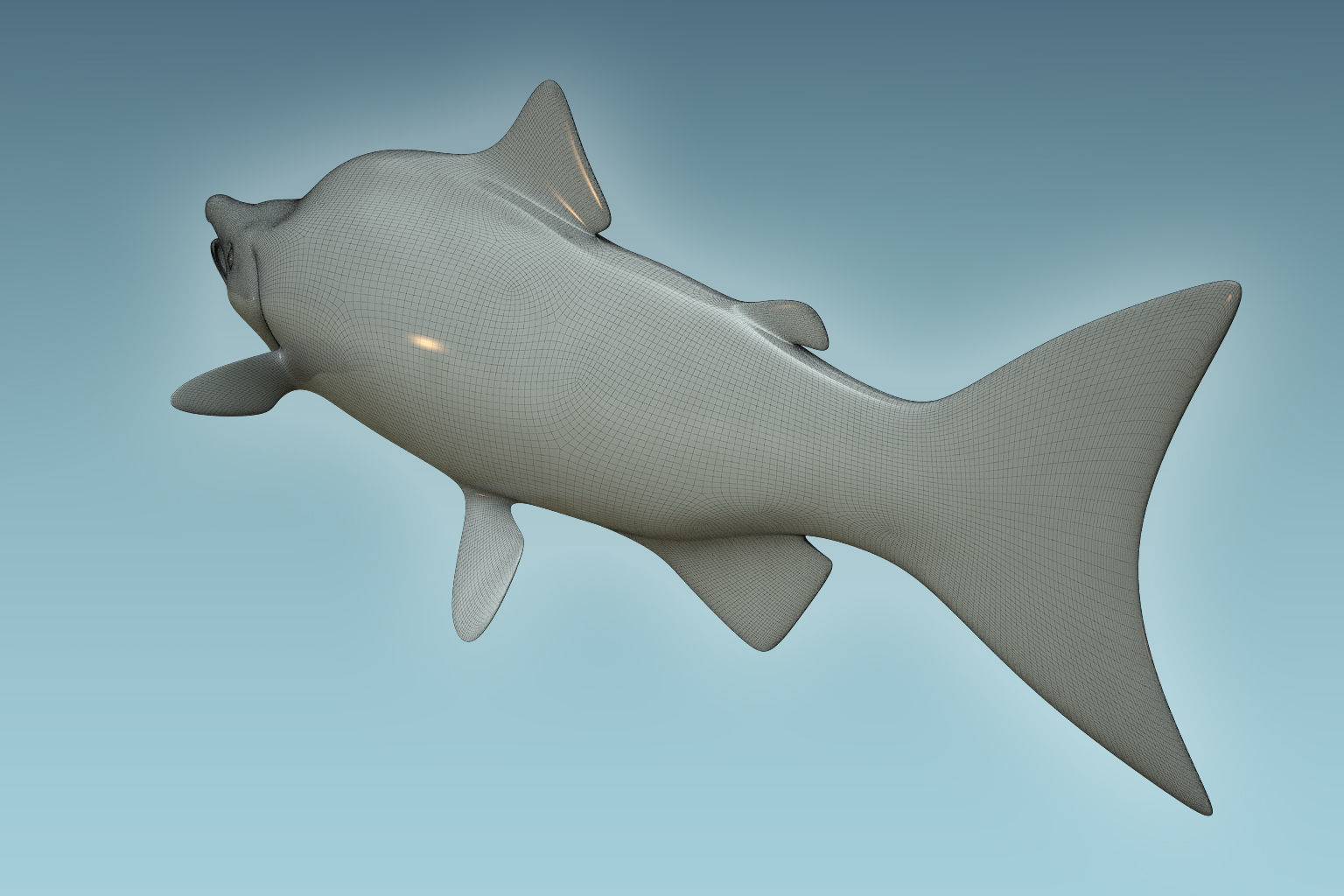 Salmon Fish 3D model_7