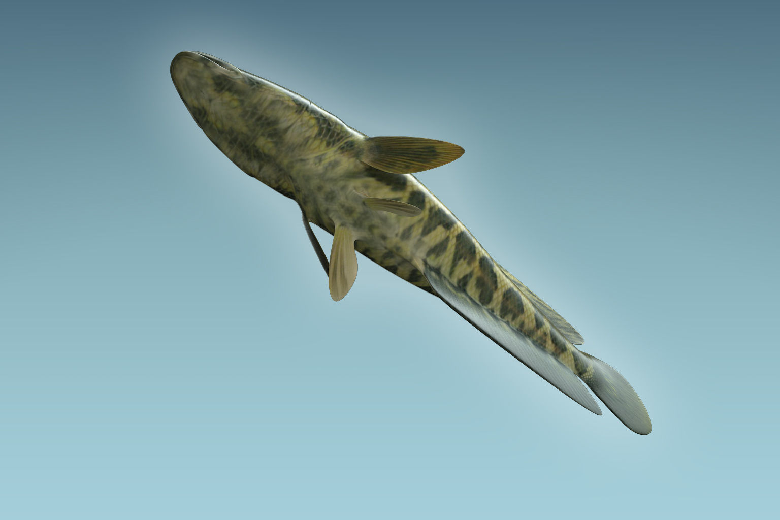 Snake Head 3D model_6