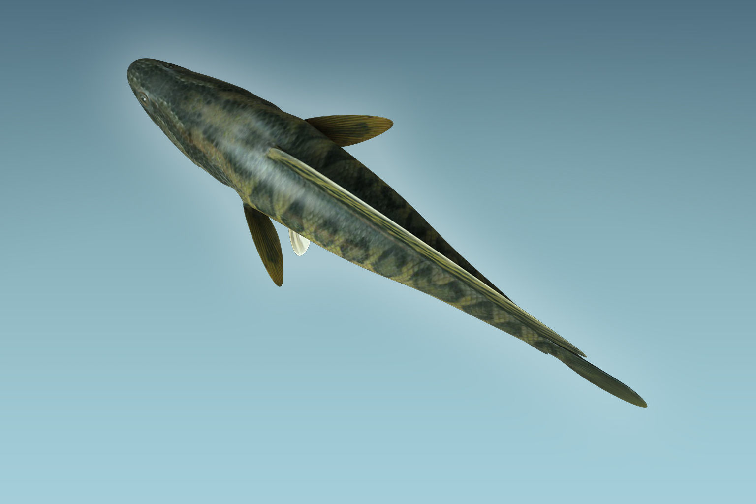 Snake Head 3D model_5