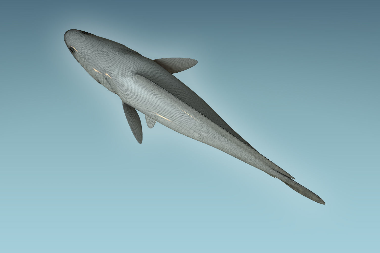 Snake Head 3D model_8