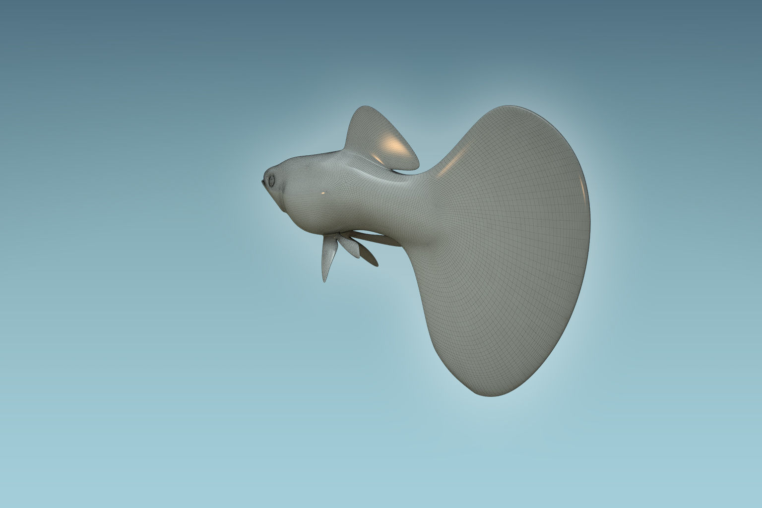 Guppy Fish 3D model_7