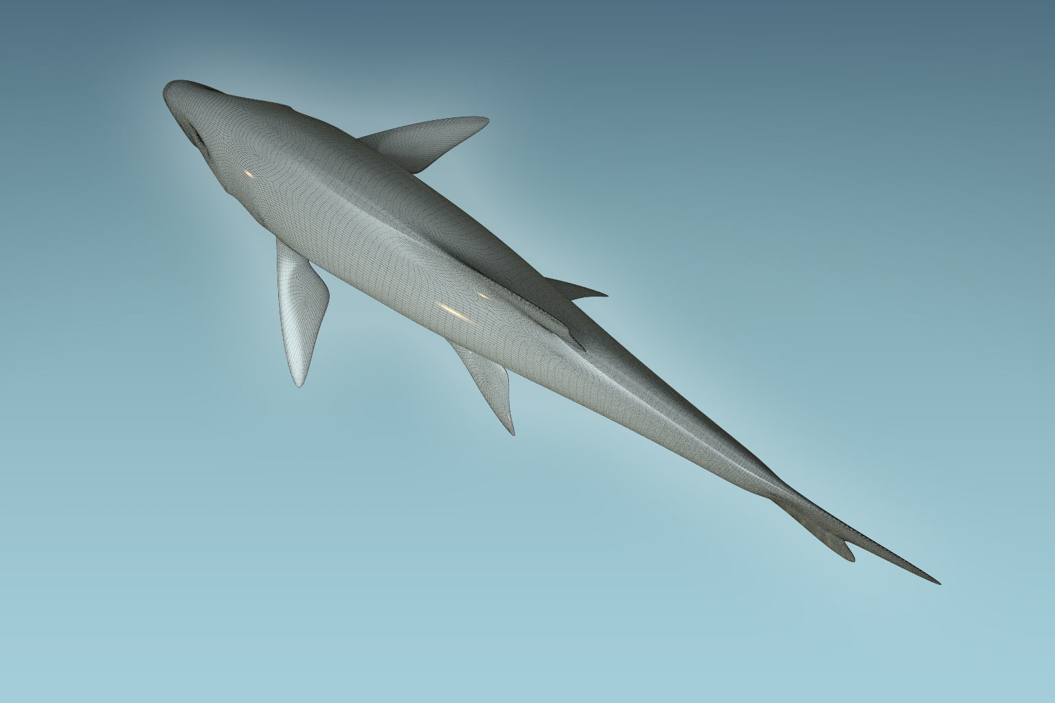 Troutfish shark flying in sky 3D model_8