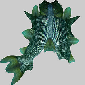 Troutfish shark flying in sky 3D model_9