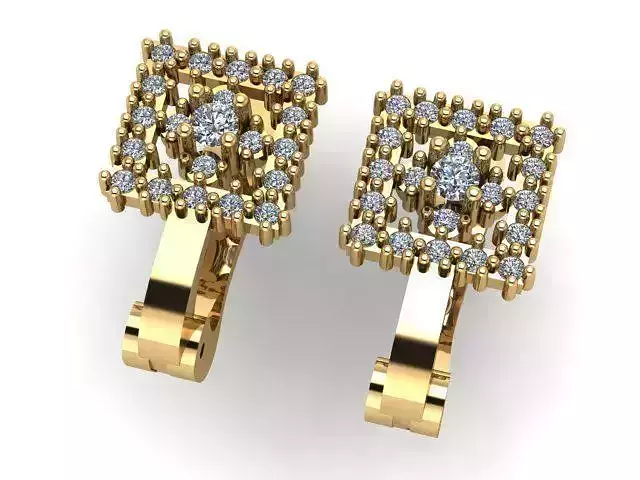 Earrings T01317