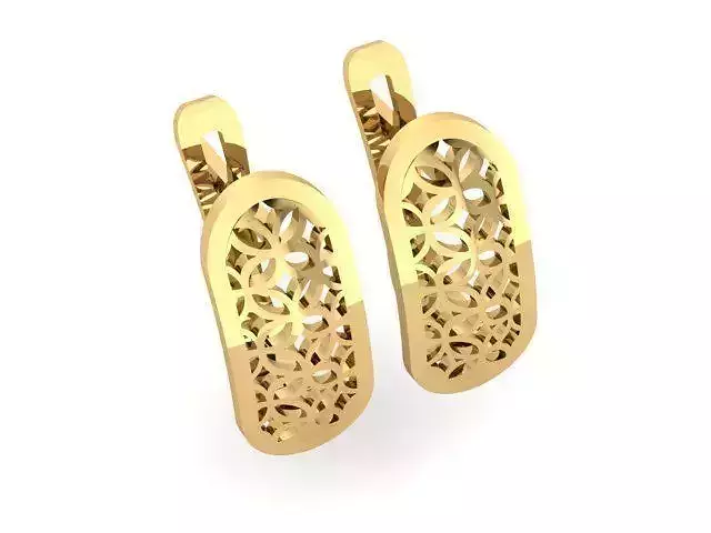 Earrings T01318