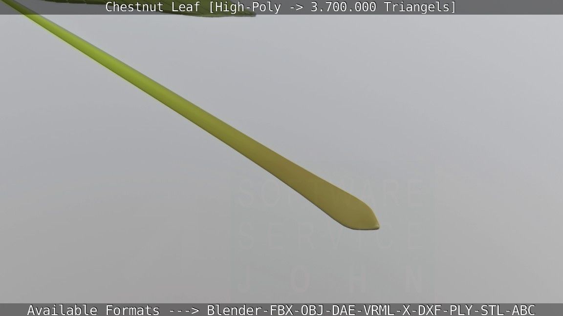 Chestnut Leaf High-Poly 3D model_69