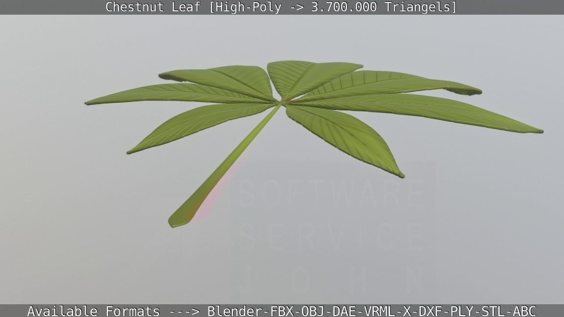 Chestnut Leaf High-Poly 3D model_63