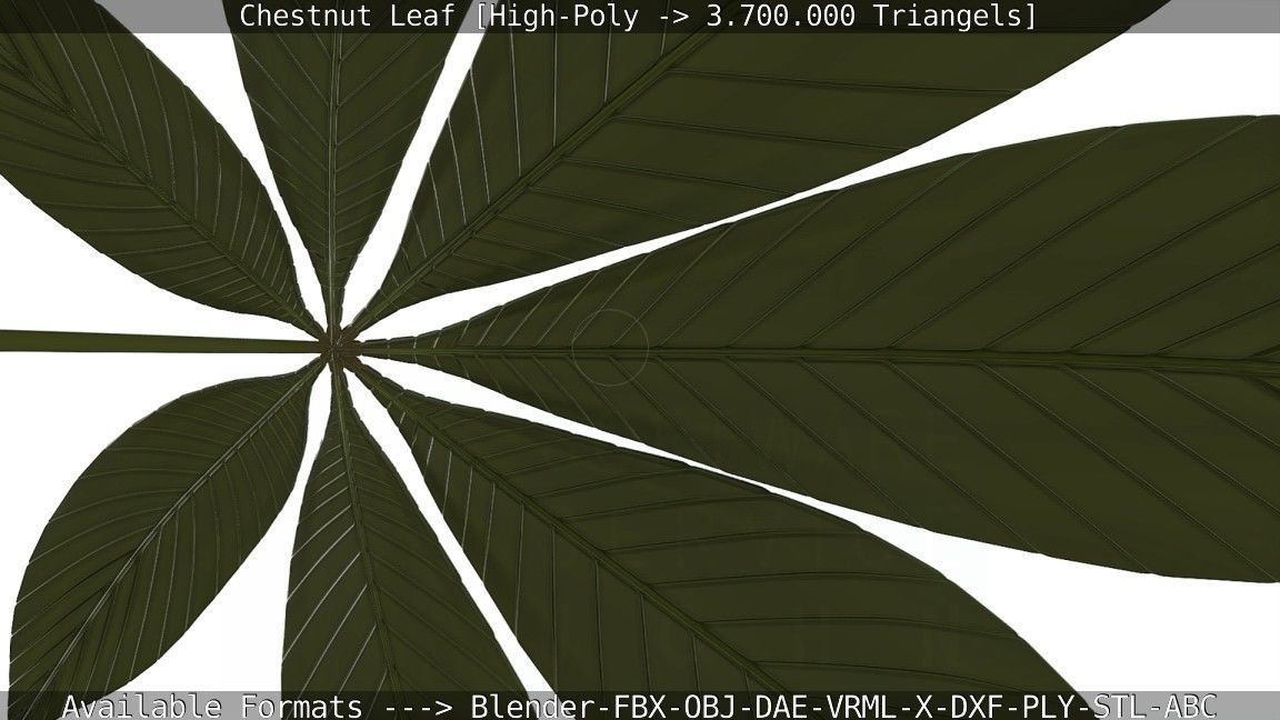 Chestnut Leaf High-Poly 3D model_120