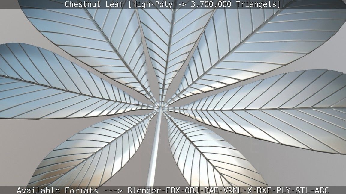 Chestnut Leaf High-Poly 3D model_6