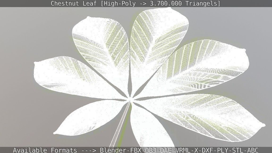 Chestnut Leaf High-Poly 3D model_16