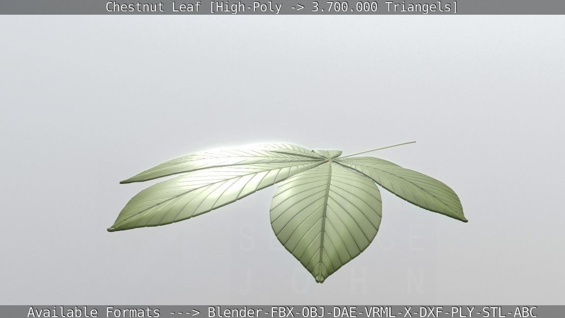 Chestnut Leaf High-Poly 3D model_54