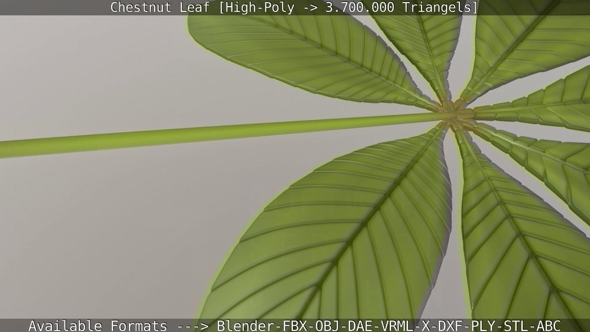 Chestnut Leaf High-Poly 3D model_81