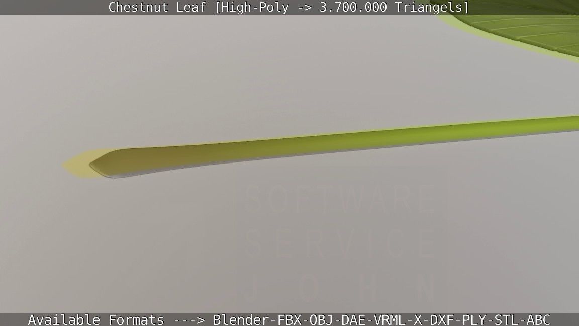 Chestnut Leaf High-Poly 3D model_80