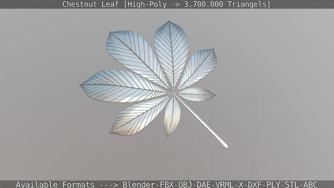 Chestnut Leaf High-Poly 3D model_10