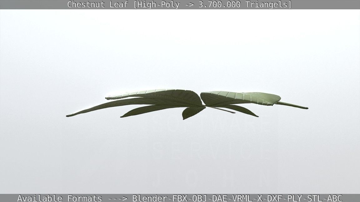 Chestnut Leaf High-Poly 3D model_52