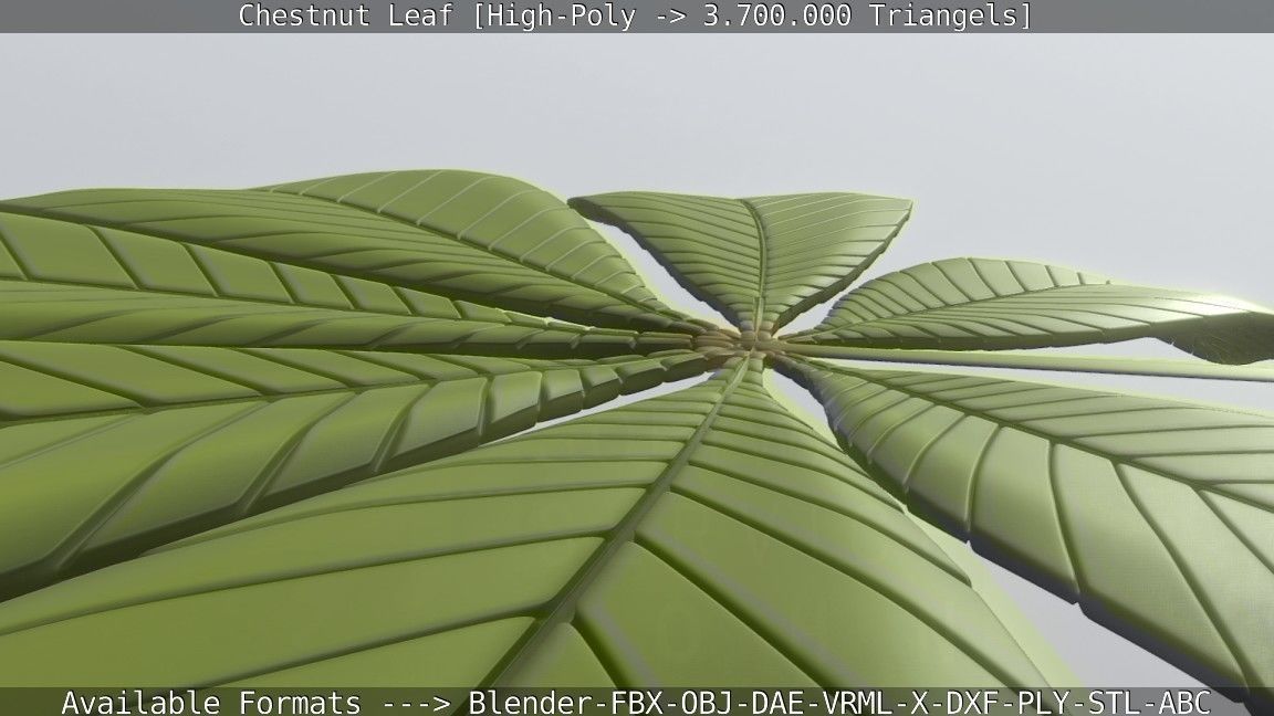Chestnut Leaf High-Poly 3D model_94