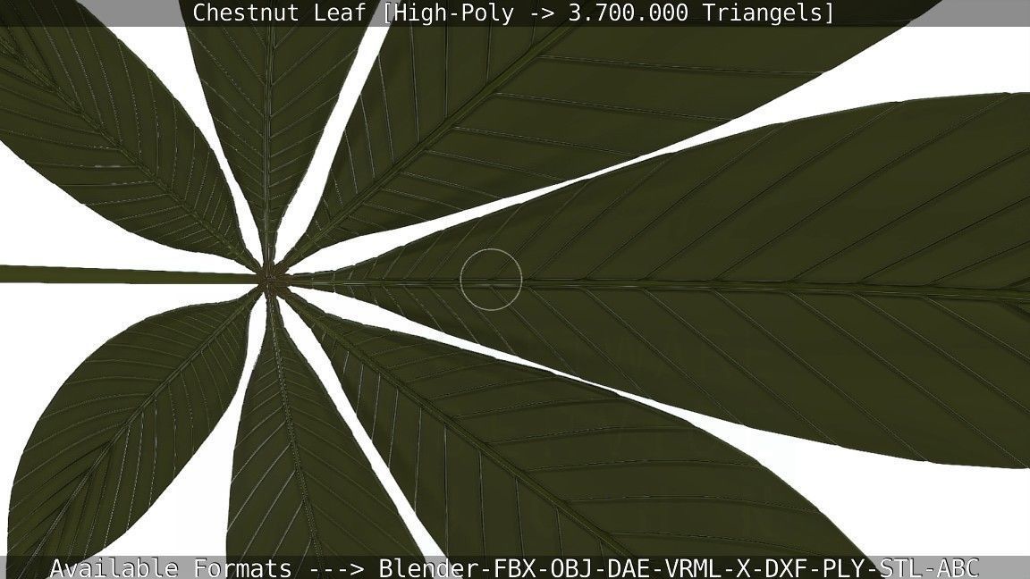 Chestnut Leaf High-Poly 3D model_122