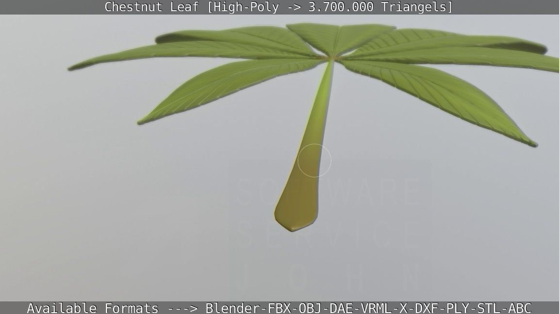 Chestnut Leaf High-Poly 3D model_67