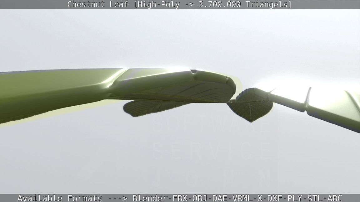 Chestnut Leaf High-Poly 3D model_101