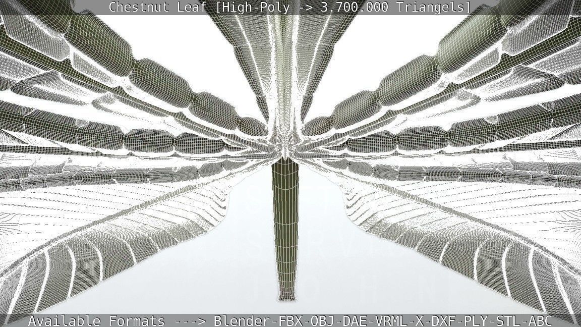 Chestnut Leaf High-Poly 3D model_19